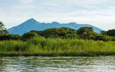 Rellenos Faciales en Sevilla: Todo lo que Necesitas Saber sobre este Tratamiento